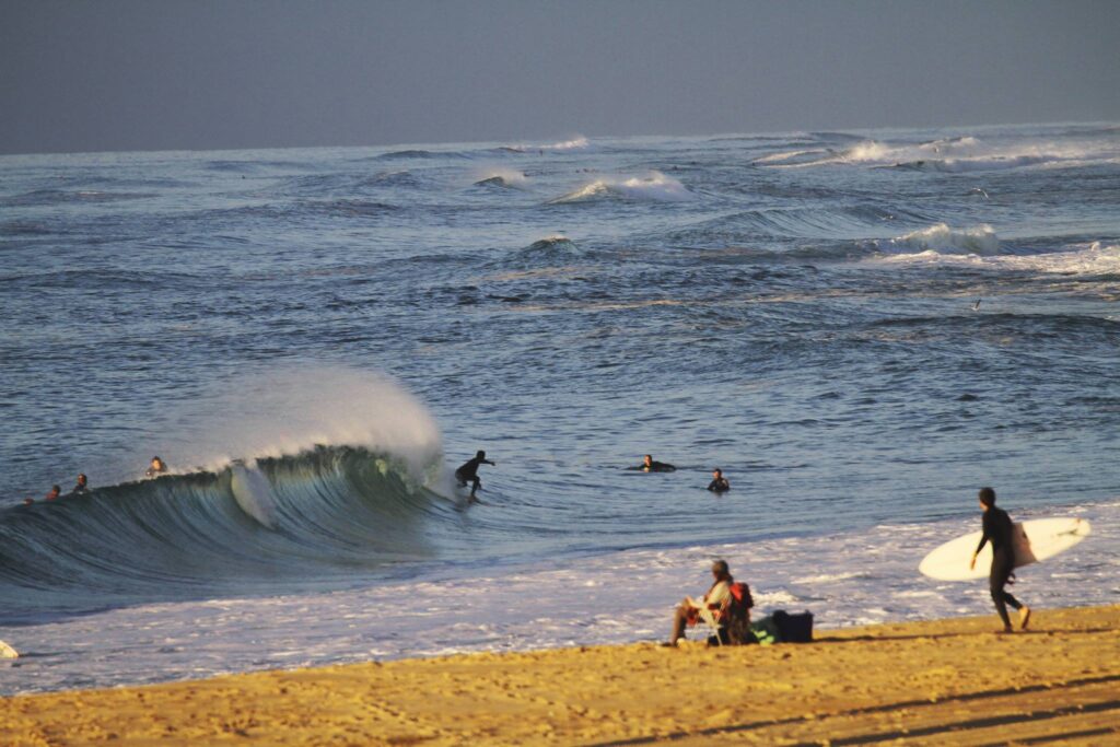 Surfvan experience